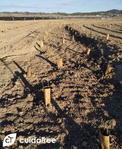 recuperación y protección del Mar Menor