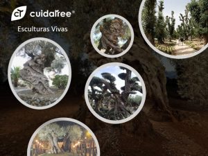 cultivos-cuidatree