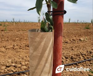 CAAE certifica un protector de cultivos y plantaciones de Cuidatree