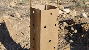 Cuidatree, proyecto público en la Sierra del Molar de Elche