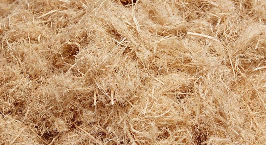 Fibra de madera - cuidatree - protectores arboles - gestion forestal sostenible