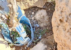 La marea plástica silenciosa: El problema oculto de los protectores agrícolas y la reforestación