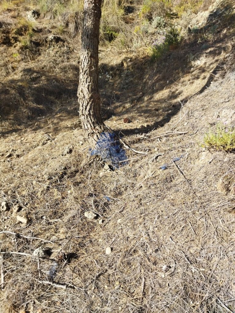 La marea plástica silenciosa: El problema oculto de los protectores agrícolas y la reforestación